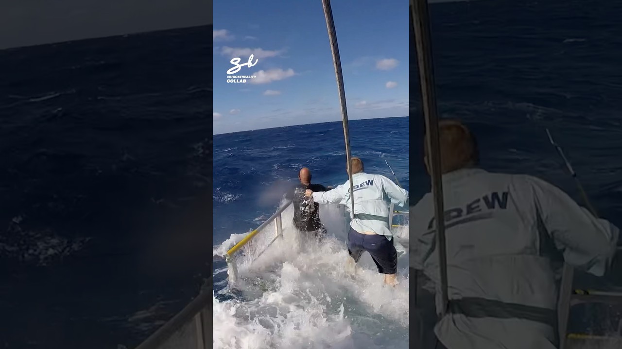 Fishing In Extreme Waves! 🎣 #waves #fishing #sea