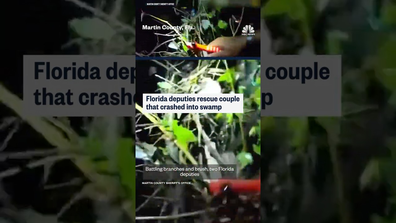 Florida deputies rescue couple that crashed into swamp