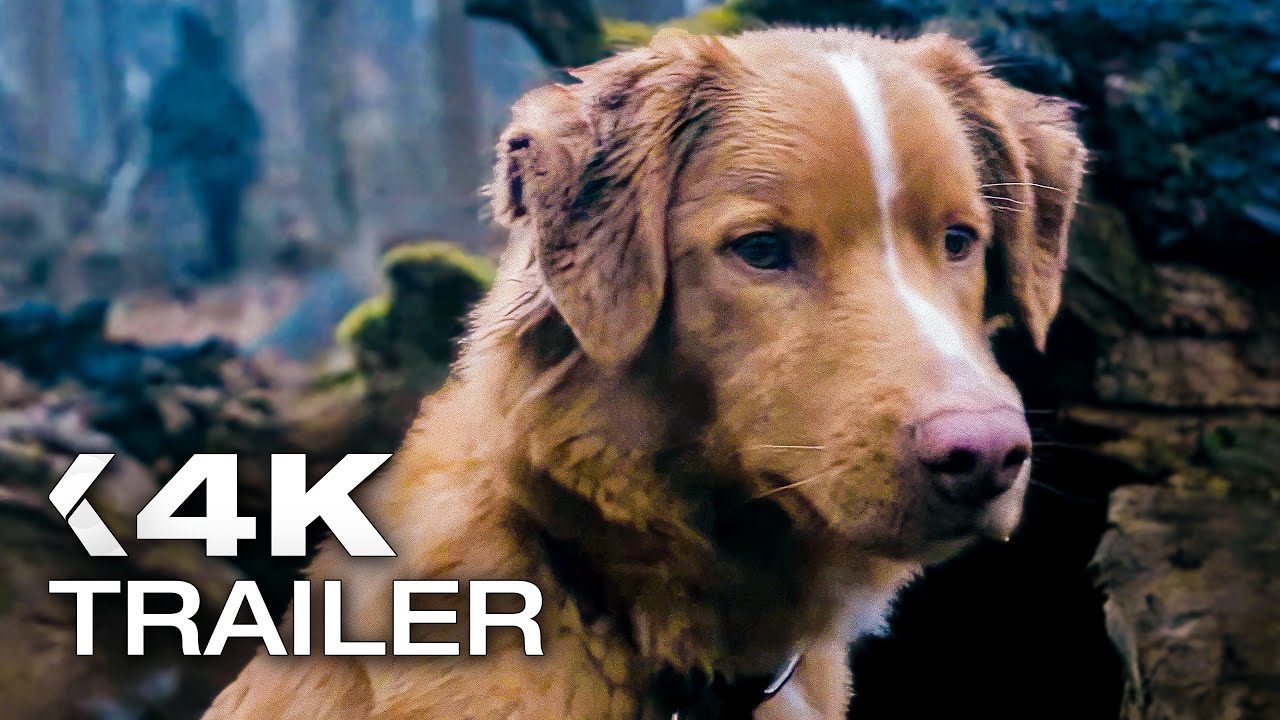 GOOD BOY Official Trailer 2 (2025)