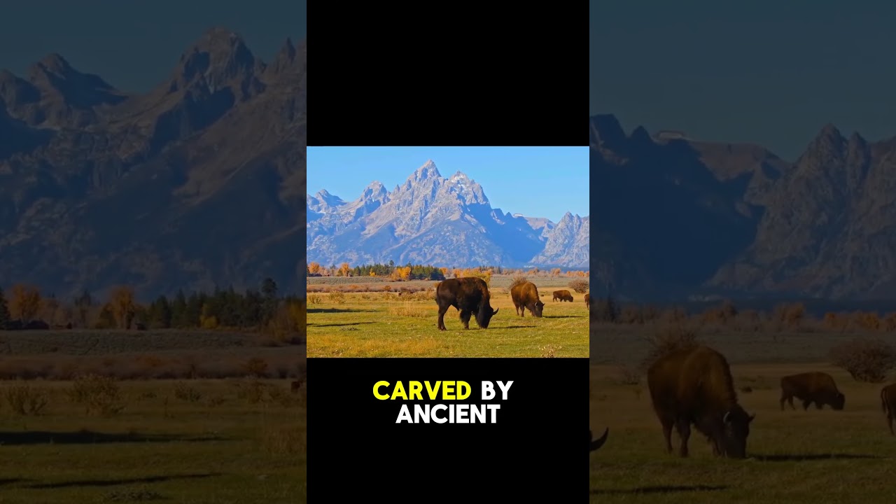 Grand Teton National Park: Untamed Beauty of Wyoming | #shorts