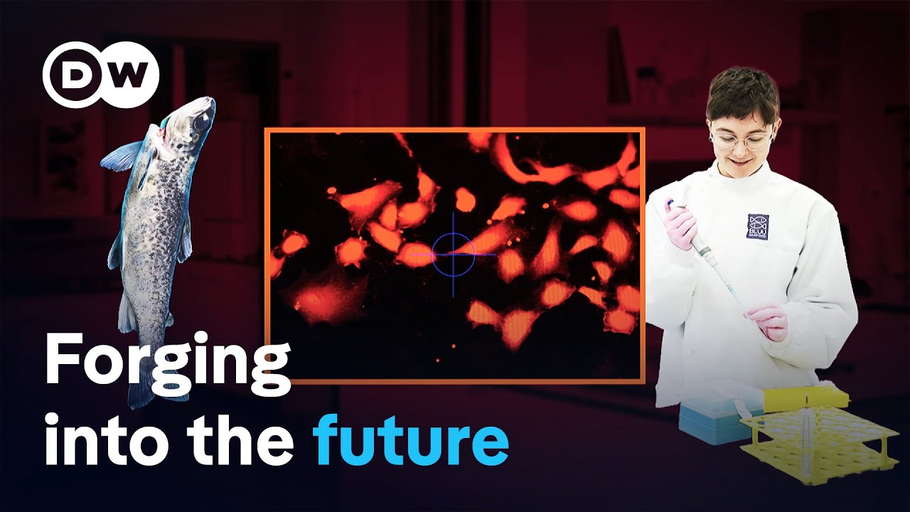 Green start-ups – Saving the climate and securing prosperity: Is that possible? | DW Documentary