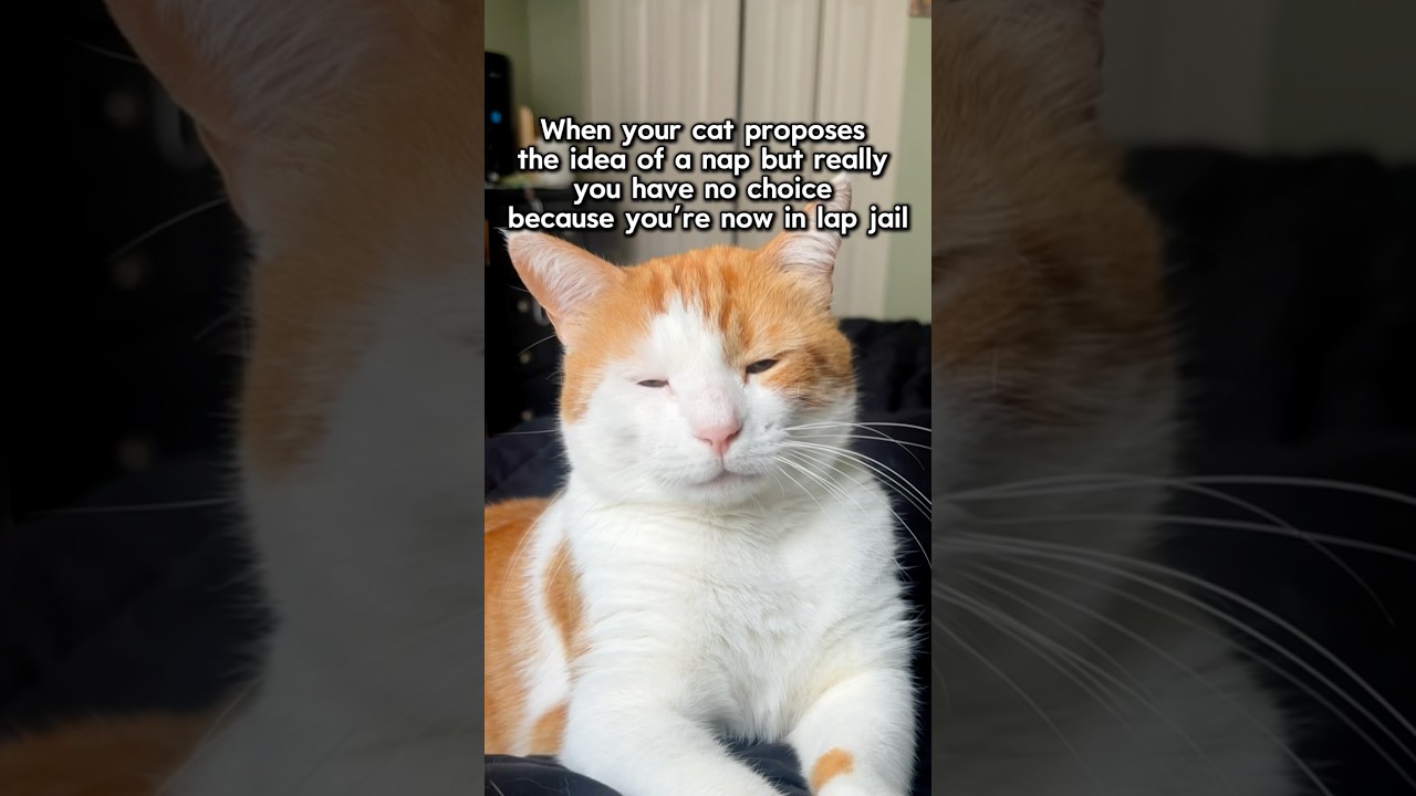 He Gives Me No Choice