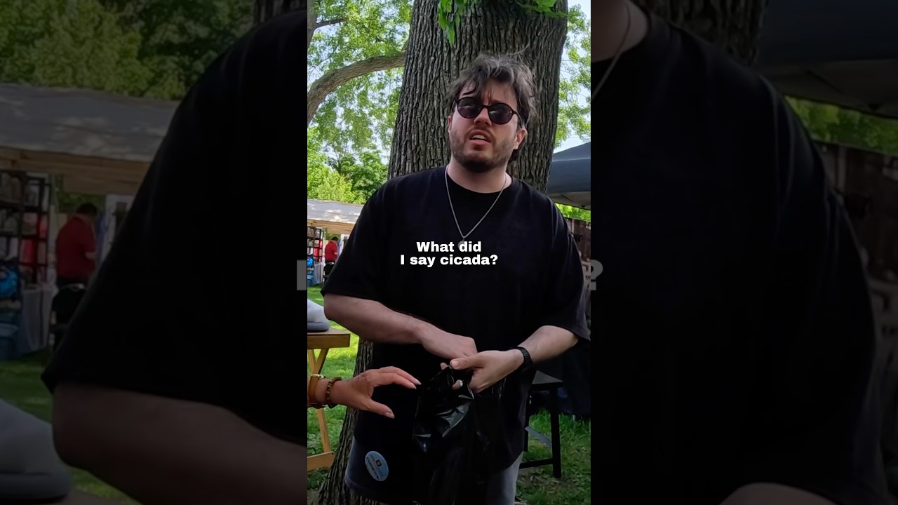 I bought a cicada art and THIS happened 🥹❤️