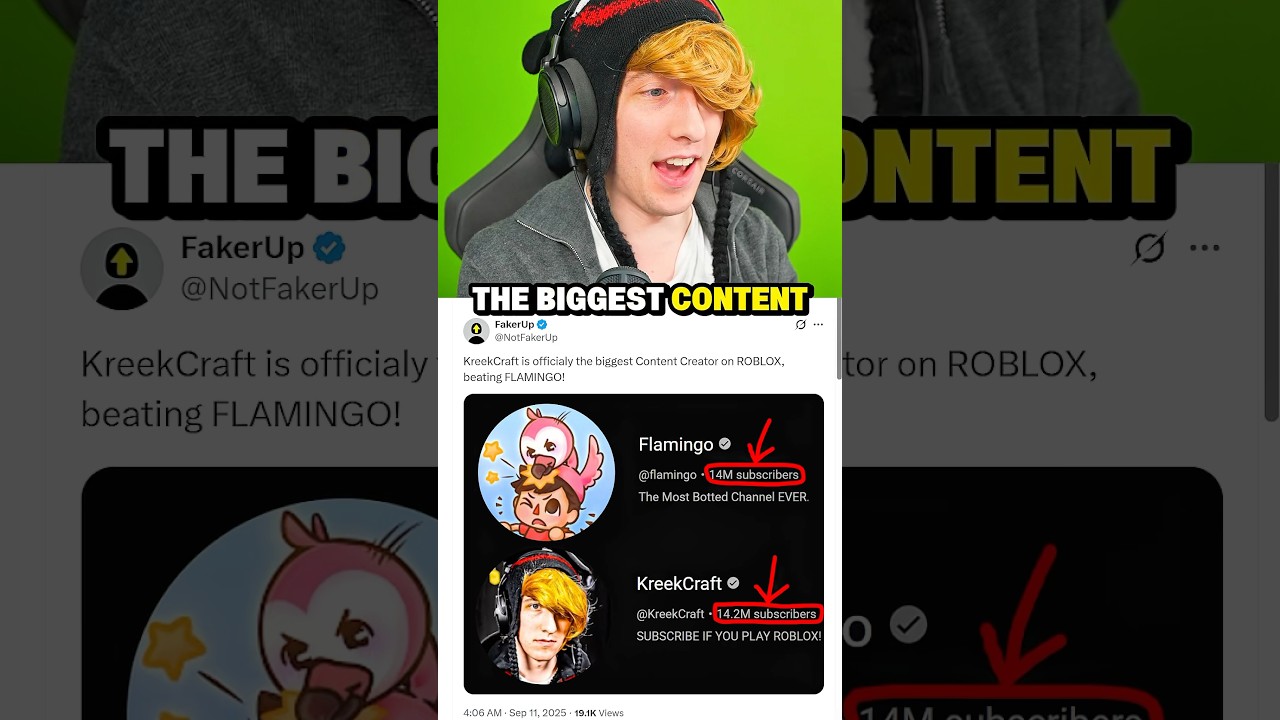 i’m sorry flamingo