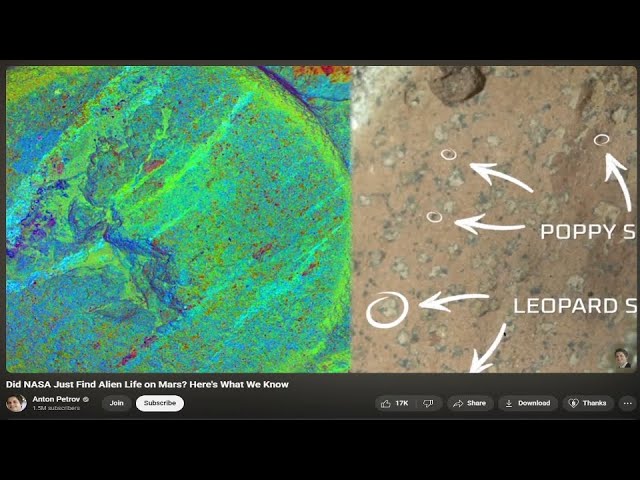 Is This Actual Proof of Life on Mars