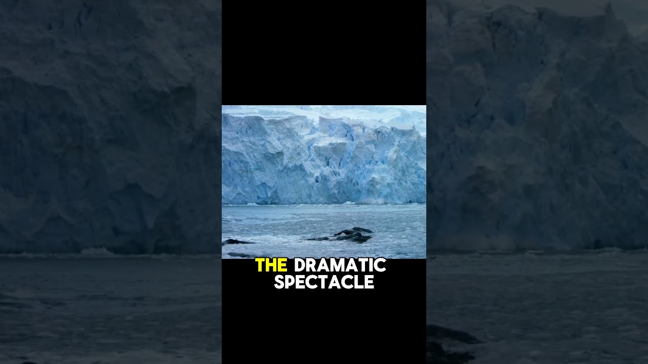 Kenai Fjords National Park: Alaska’s Icy Wonderland | #shorts