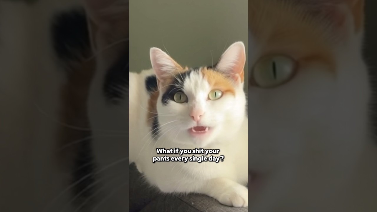 Kiko Makes a Valid Point