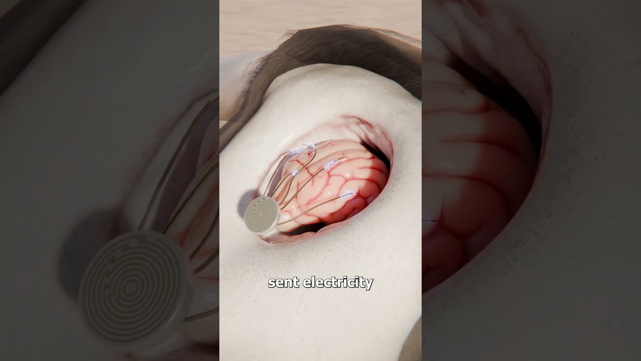 Mind Control Stopped A Raging Bull 😳