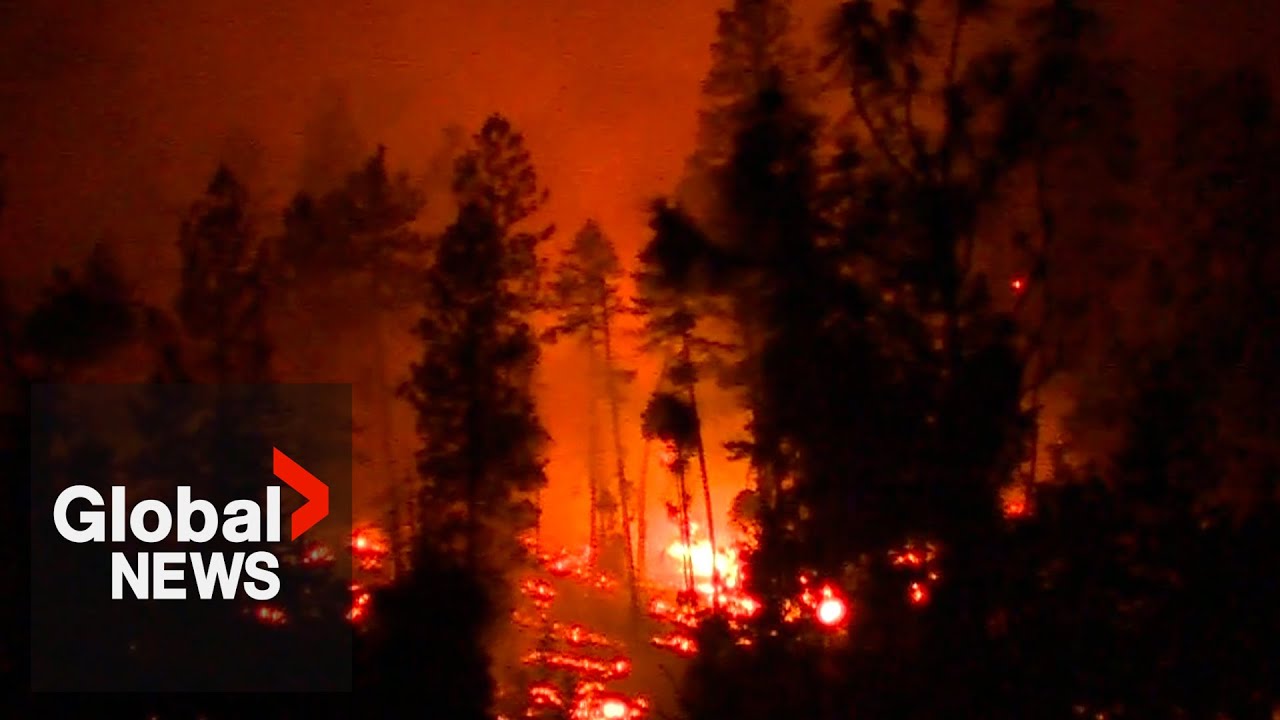 Munro Lake wildfire: Fast moving flames force 100s from their homes in BC