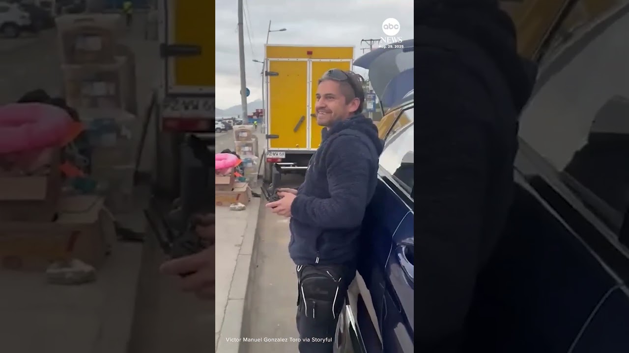Pack of dogs hunt drone flying over beach in Chile