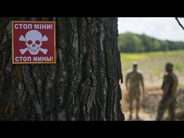 Pro-Kremlin operation weaponises investigative media to claim Ukraine uses orphans to clear mines