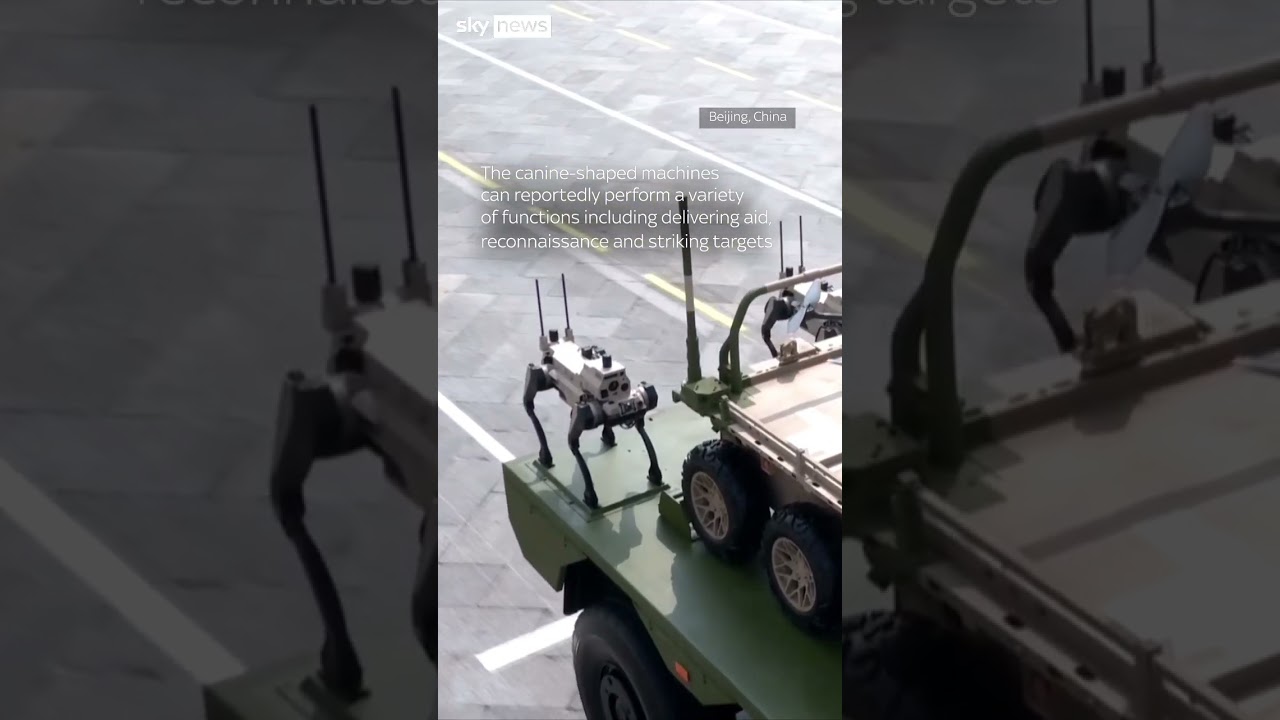 Robotic wolves spotted in China parade