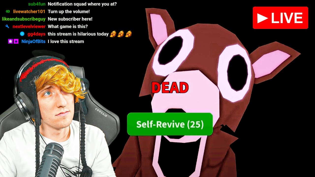 stream ends if i die