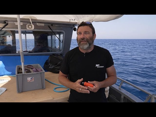 The science behind Europe’s stunning bluefin tuna recovery