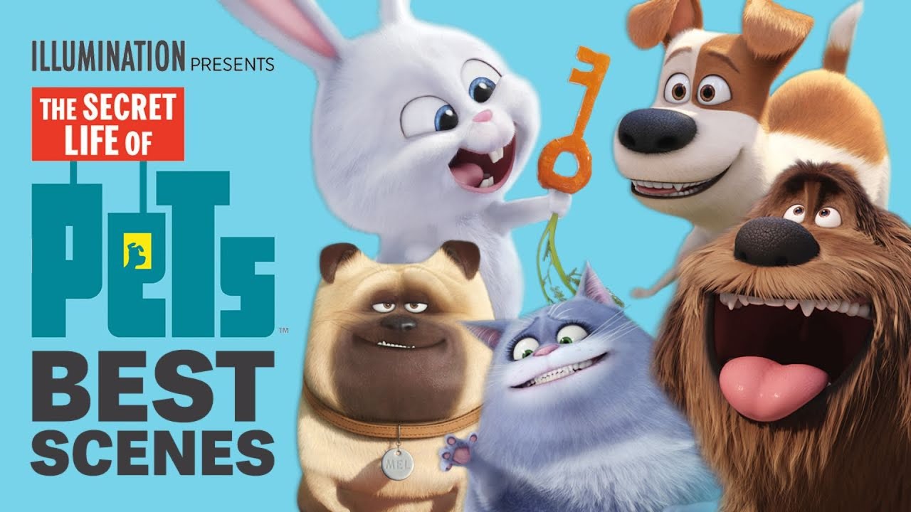 The Secret Life of Pets – Best Scenes