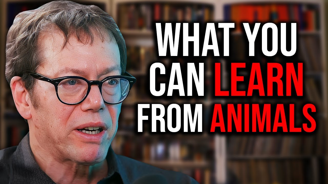 Why I Love Animals So Deeply