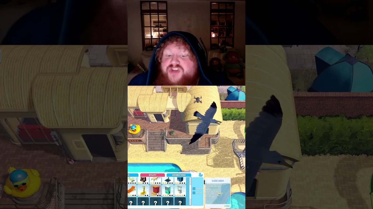 Wild Birds Crashed My Stream!