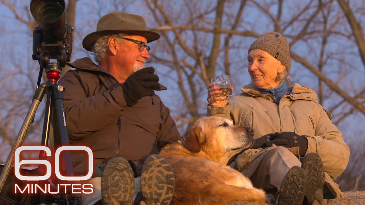 An evening with Jane Goodall and Tom Mangelsen | 60 Minutes Archive