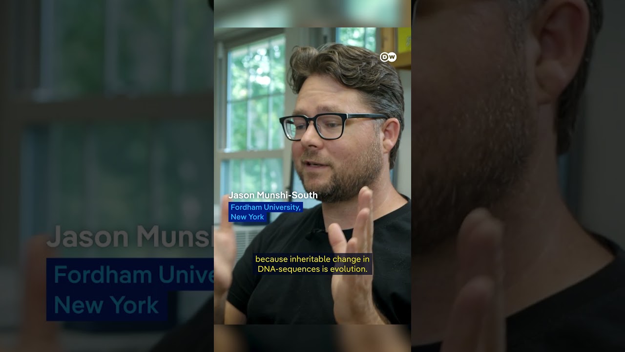 Are our cities accelerating evolution? | DW Documentary