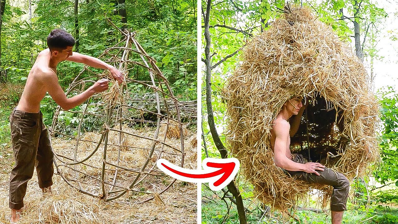 Are You Ready For a Wild Escape? 🌲 Tips & Tutorials for Living Off-Grid