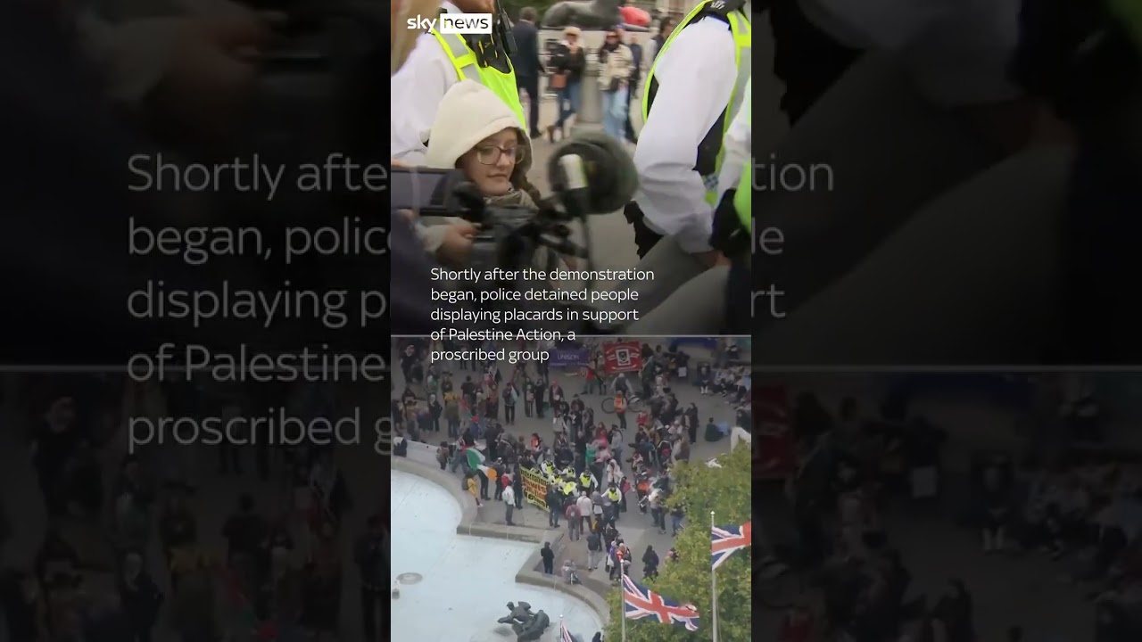 Arrests at Pro Palestine protests