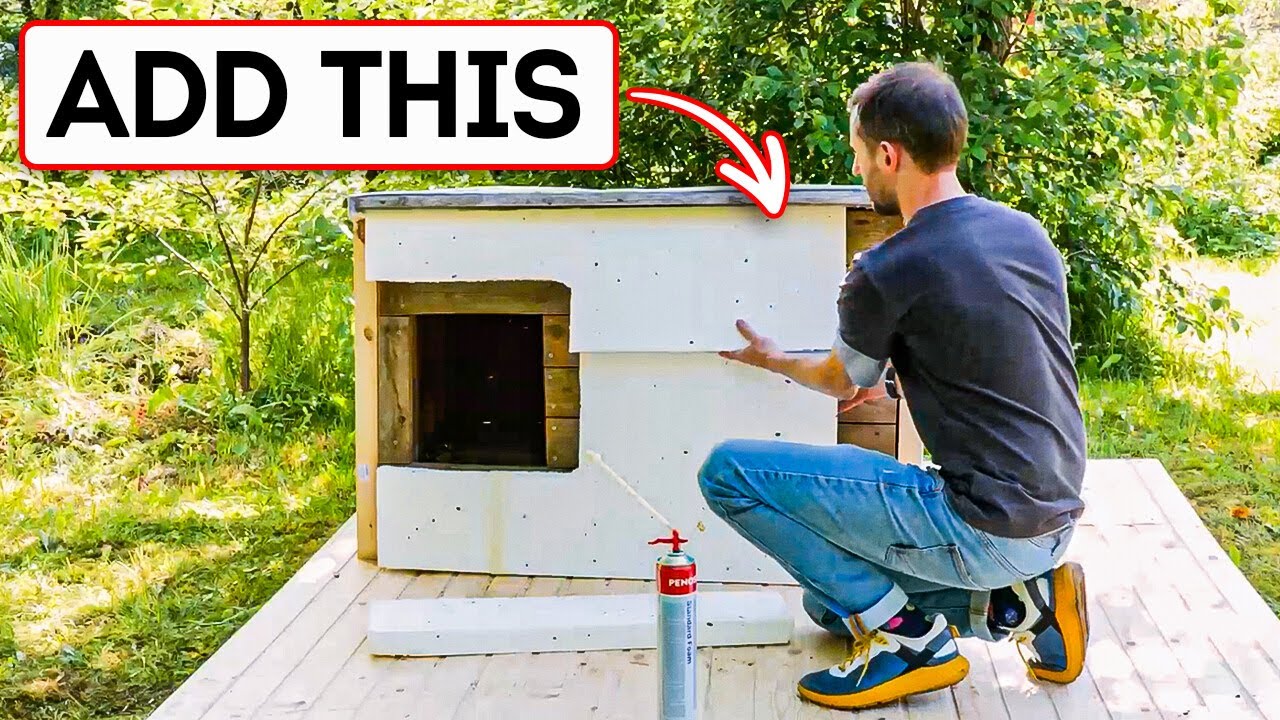 Build a Happy Home 🏠❤️ DIY Projects for Your Dog or Cat