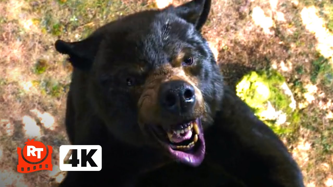 Cocaine Bear (2023) 4K – Eaten Alive Up a Tree! | Movieclips