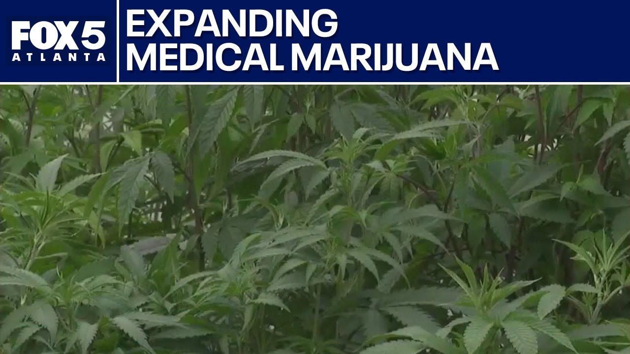 Debate over medical marijuana expansion in Georgia | FOX 5 News