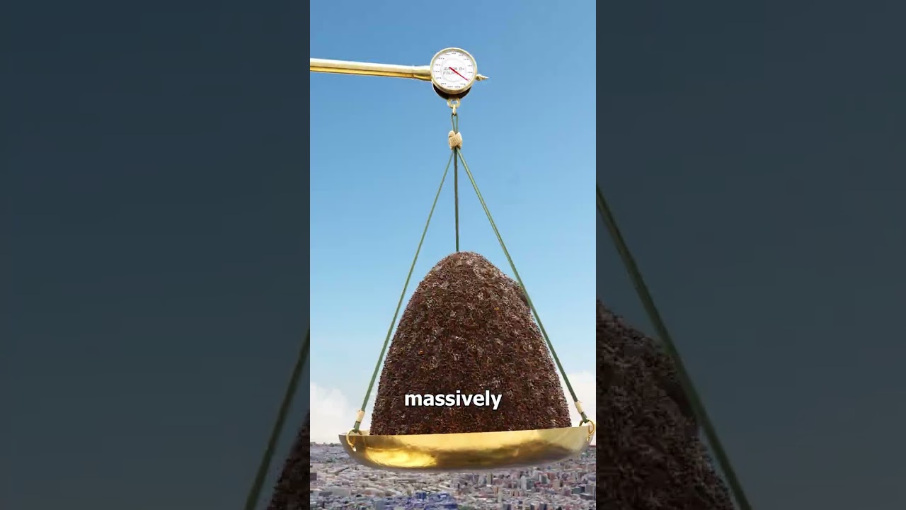 Do Bugs Or Humans Weigh More? 🤔