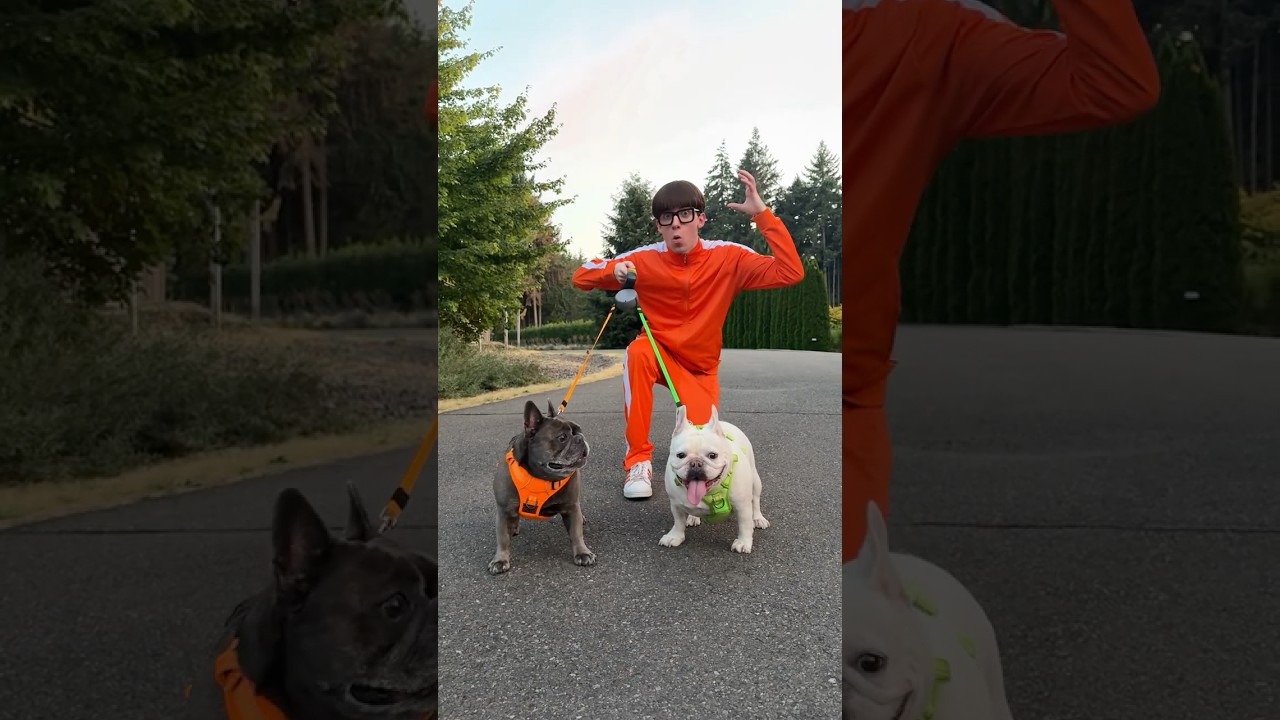 Dual Untangle Dog Leash