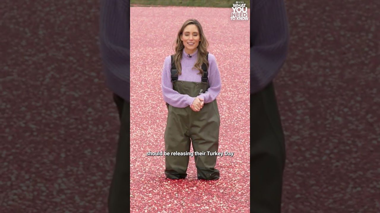 Early Thanksgiving deals are already rolling out