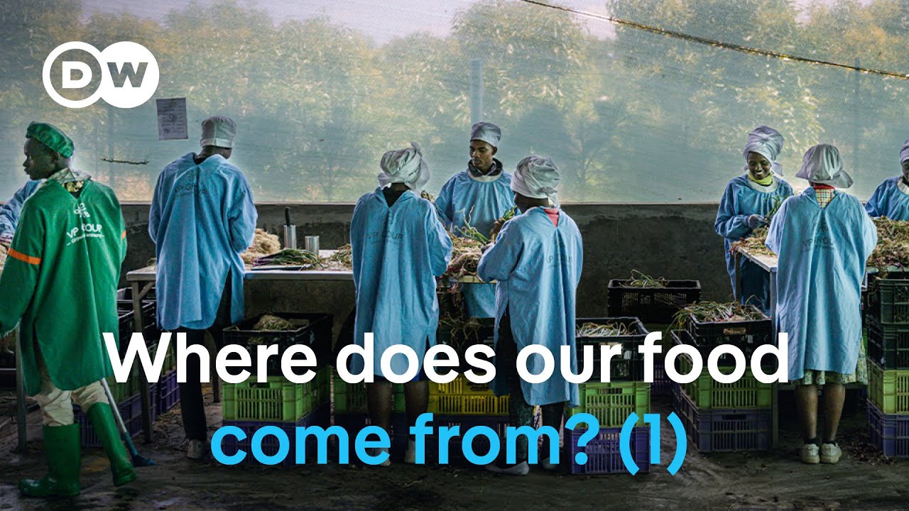 Food for thought – The hidden realities of farming (1/2) | DW Documentary