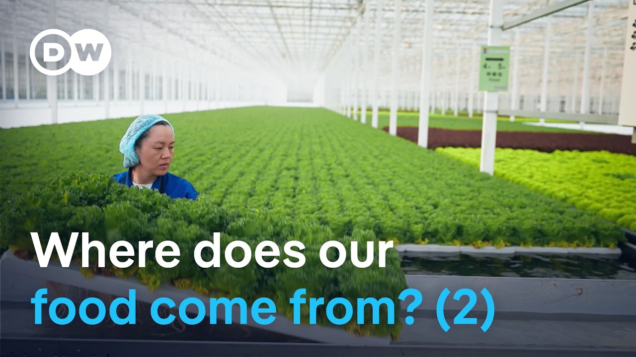Food for thought – The hidden realities of farming (2/2) | DW Documentary