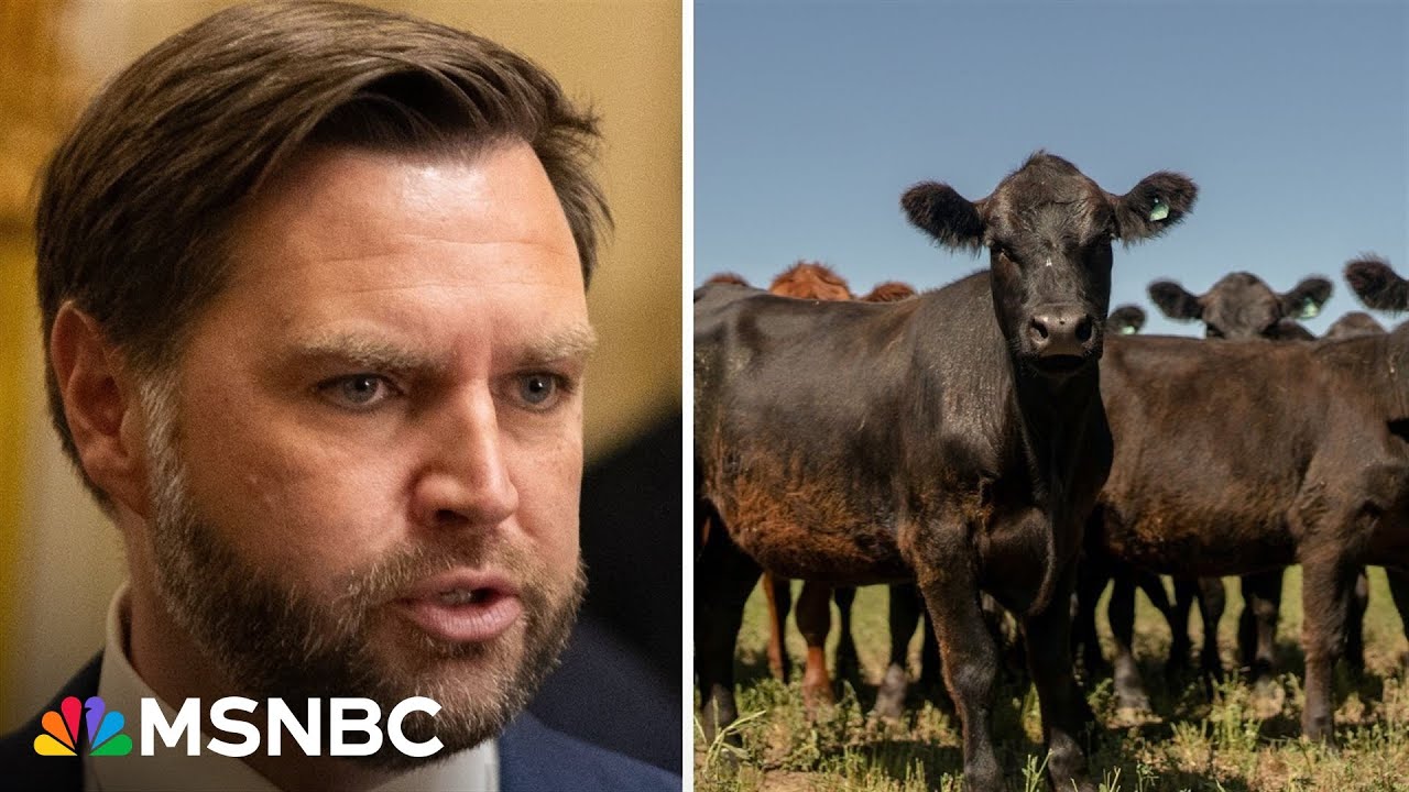 GOP senators confront VP Vance ‘quite directly’ about Argentine beef