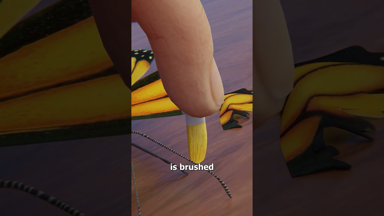 How A Butterfly Wing Transplant Works 🤔