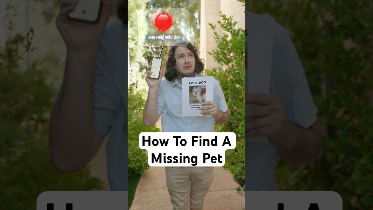 How To Find Your Lost Pet
