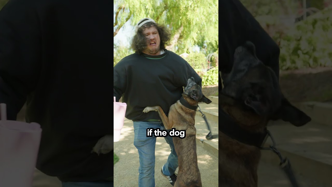 How To Survive A Dog Bite