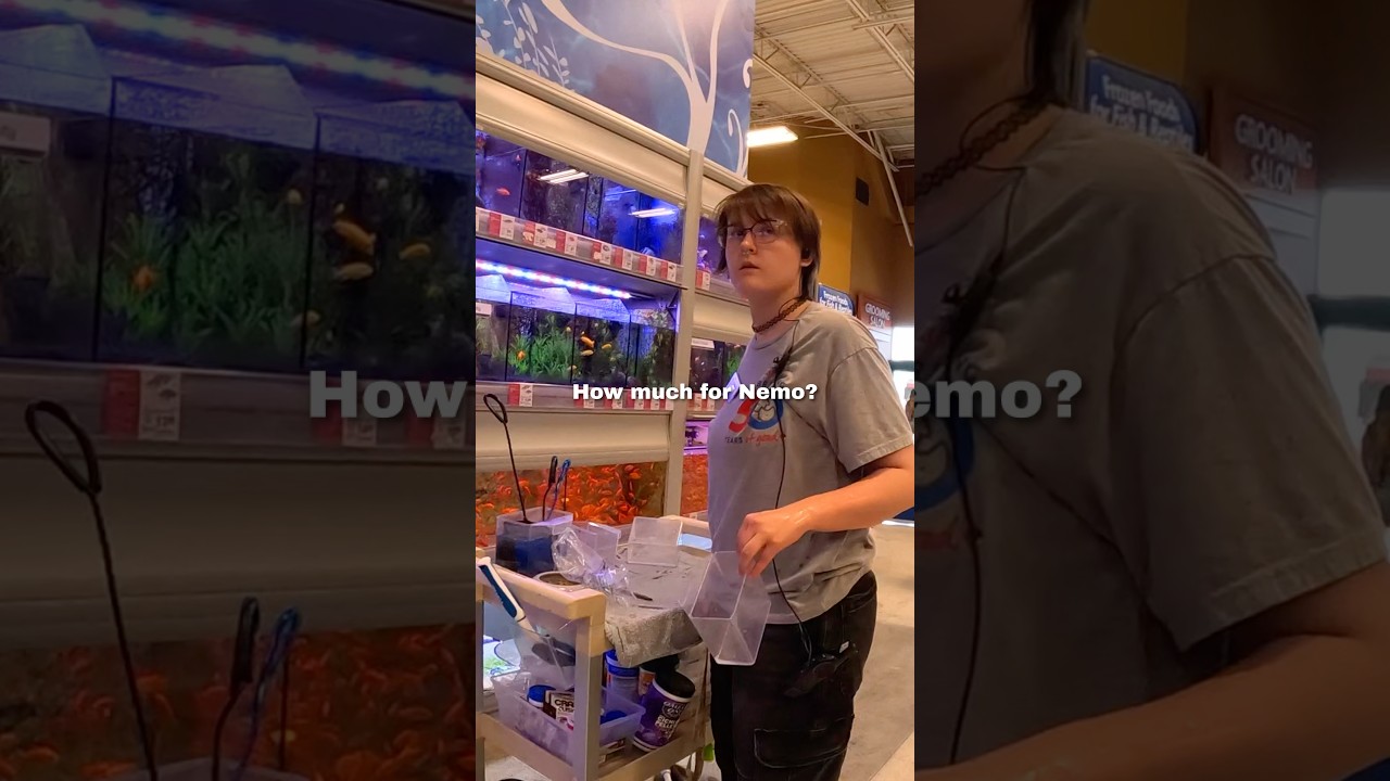 I tried to buy Nemo 🥹❤️