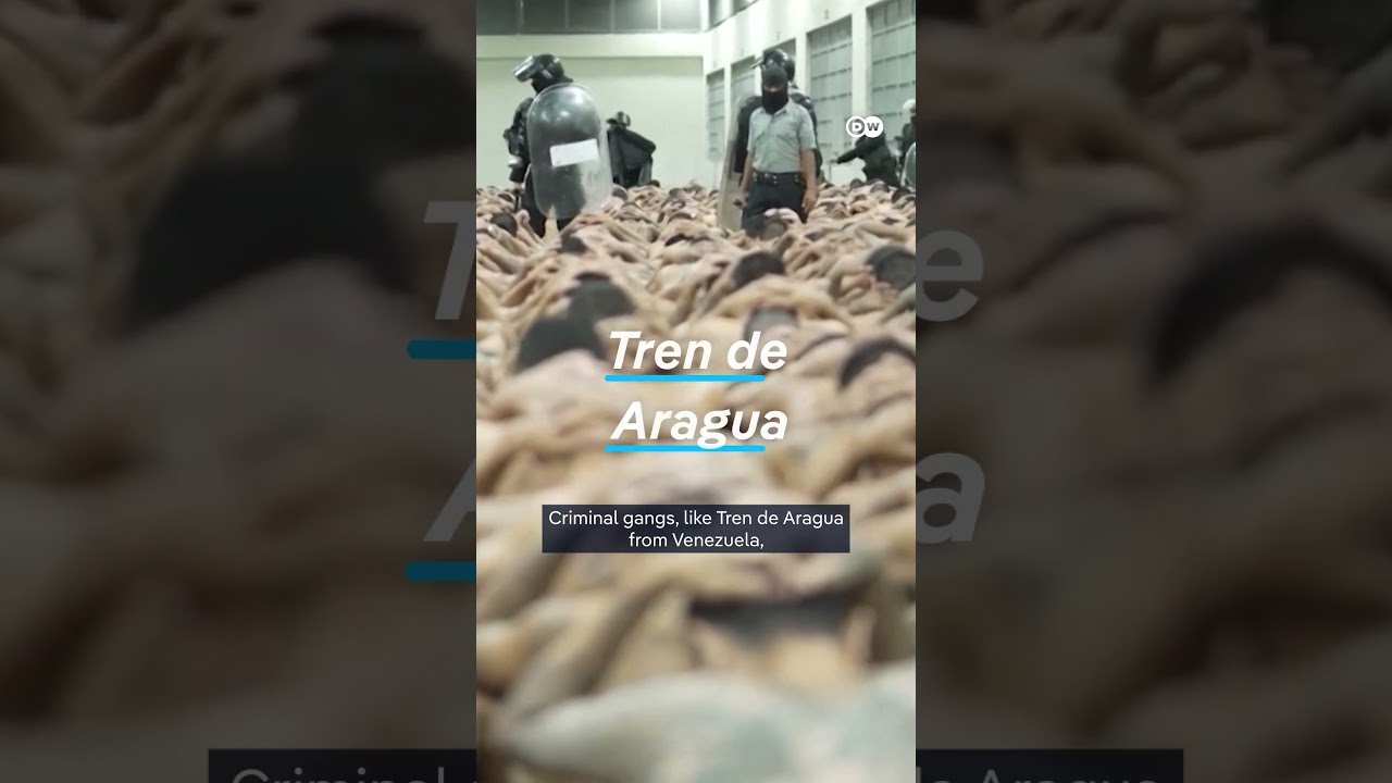 Is Trump’s “war” on drugs in the Caribbean legal? | DW News