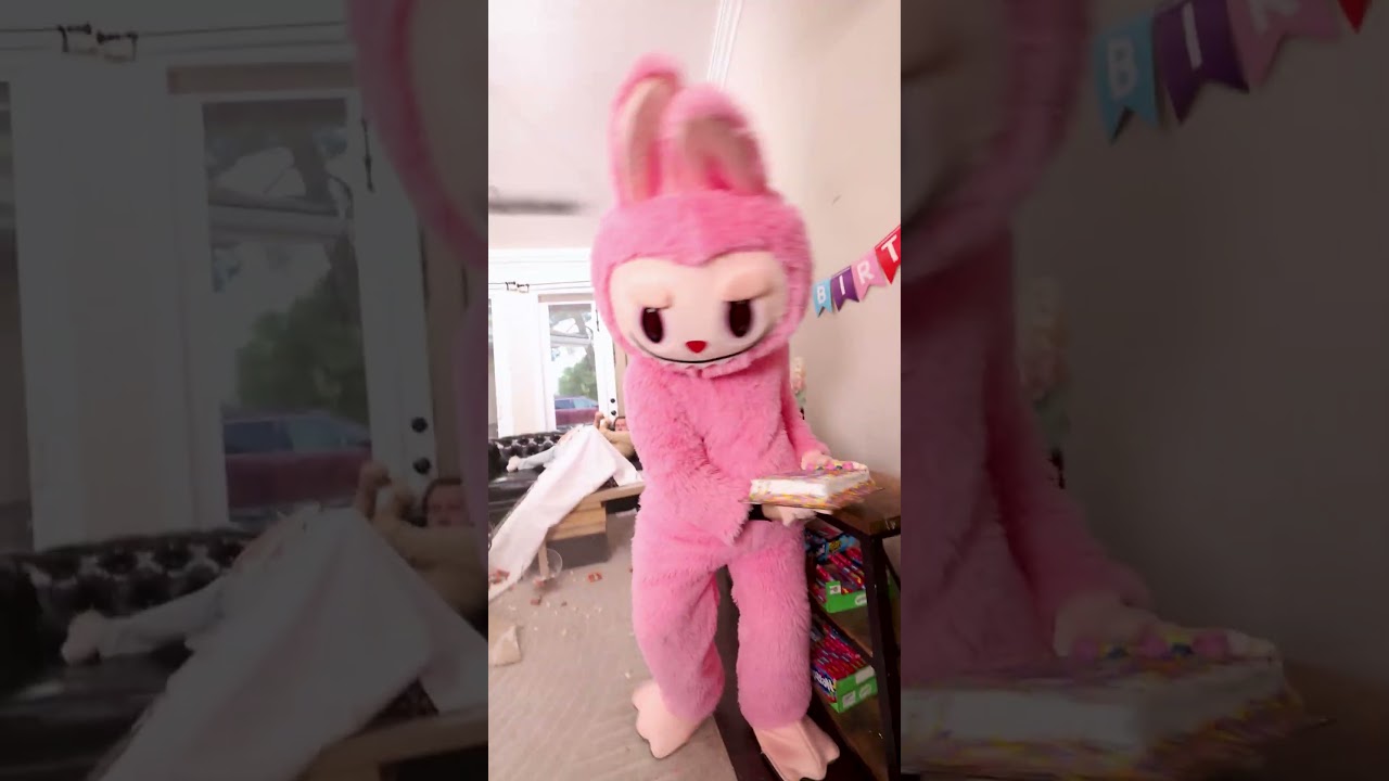 labubu destroyed my house