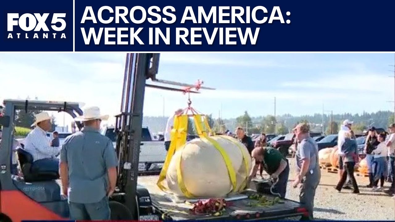 Moose rescued, pumpkin crowned, Bad Bunny booked | FOX 5 News