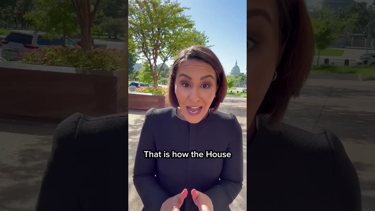 MSNBC interviews Speaker Johnson on the government shutdown