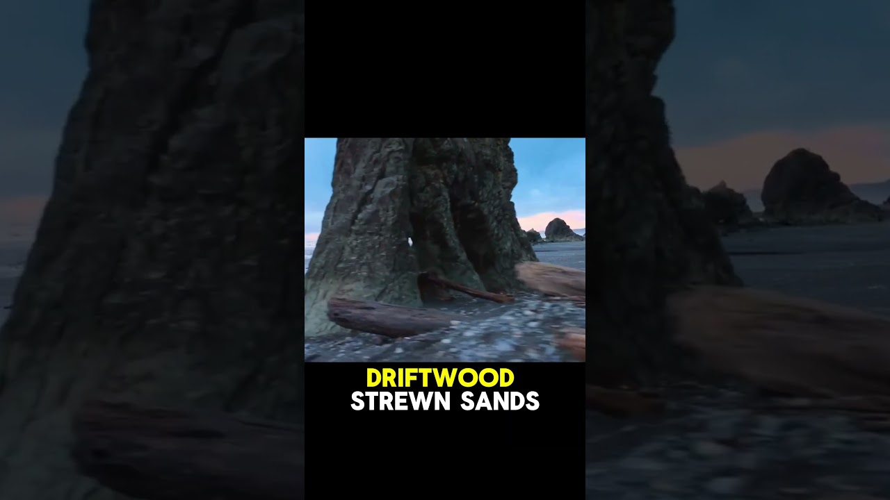 Olympic National Park USA | #shorts