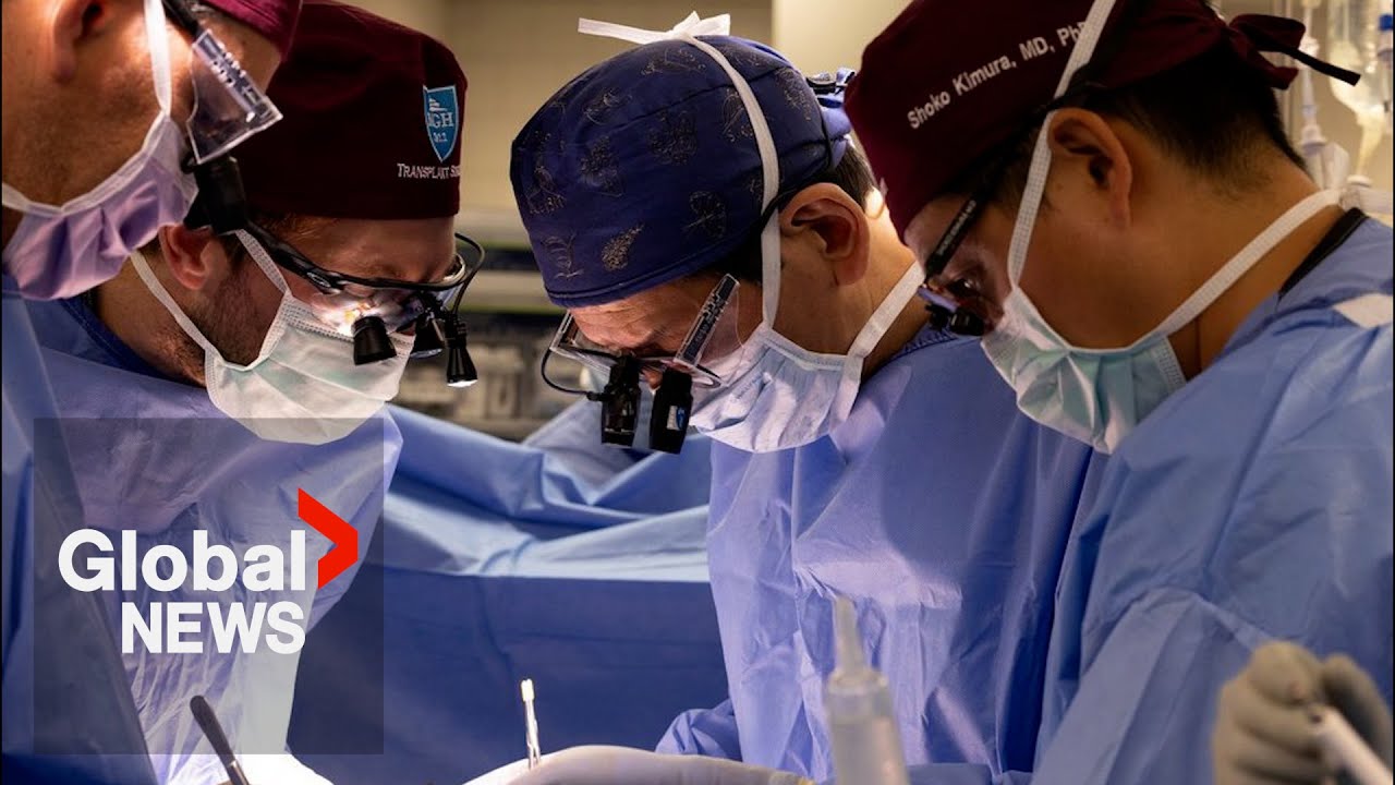 Ontario researchers test breakthrough kidney cancer treatment with internal radiation