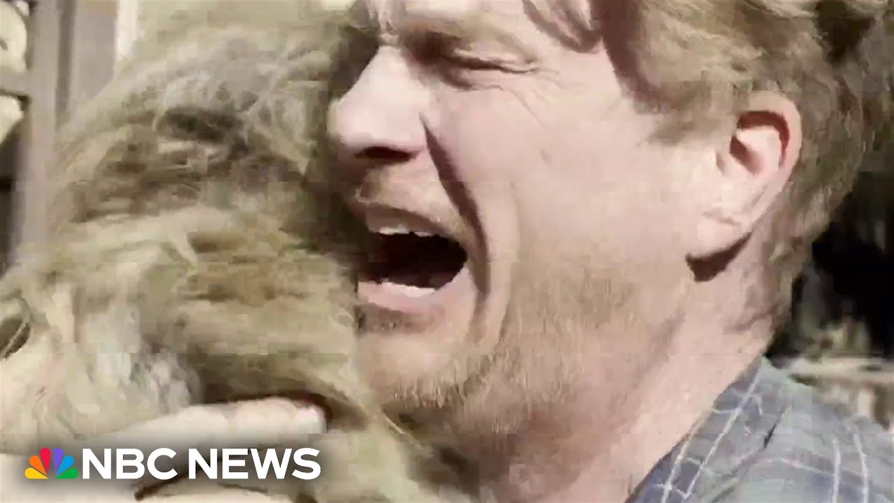 Oreo the dog inspires California law following video that went viral during Palisades fire