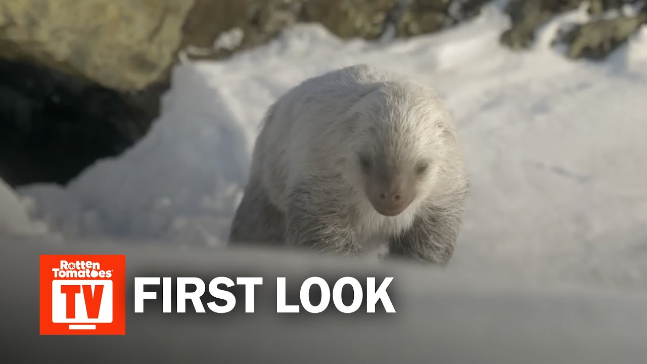 Prehistoric Planet: Ice Age Season 3 First Look