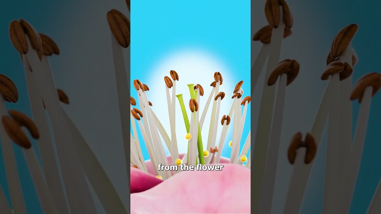 Robot Bees Pollinate Fruit Trees 😮