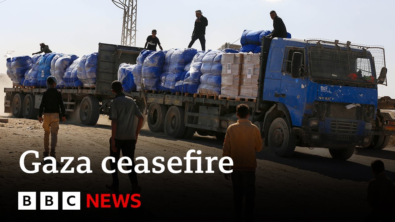 Seven Palestinians killed by Israeli forces in Gaza, Palestinian Civil Defence says | BBC News