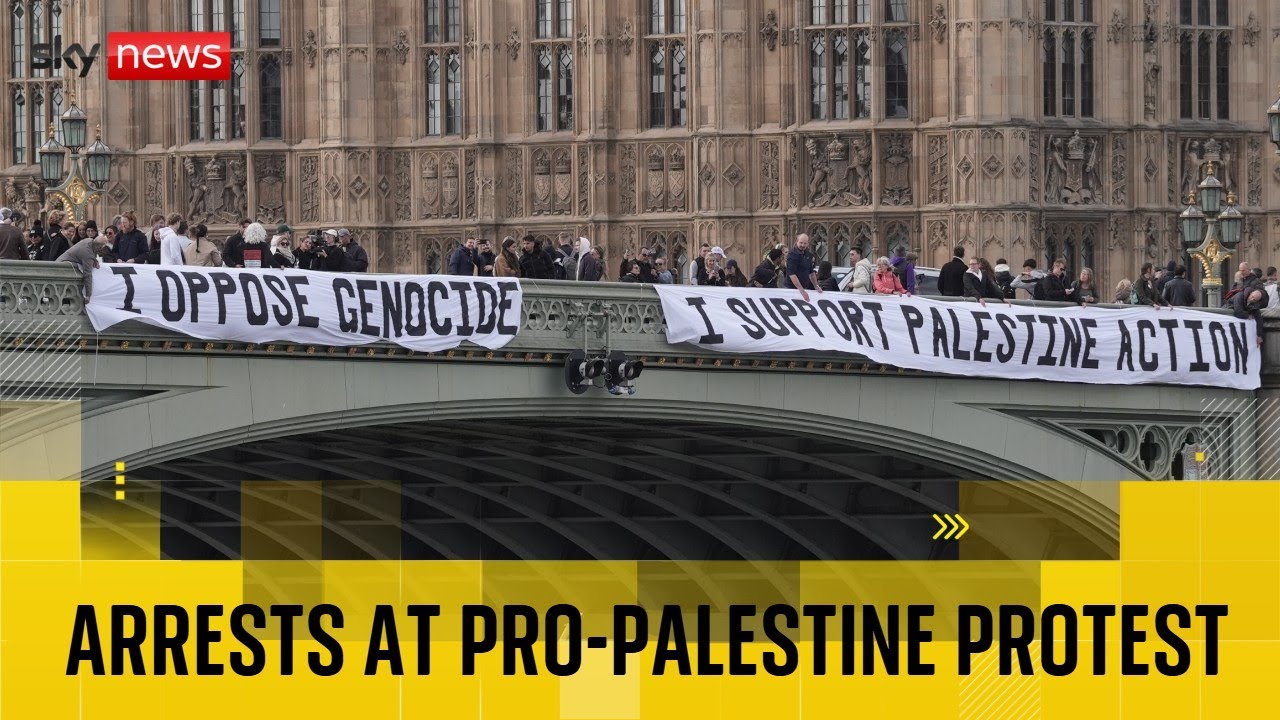 Several arrested at pro-Palestine protest in London