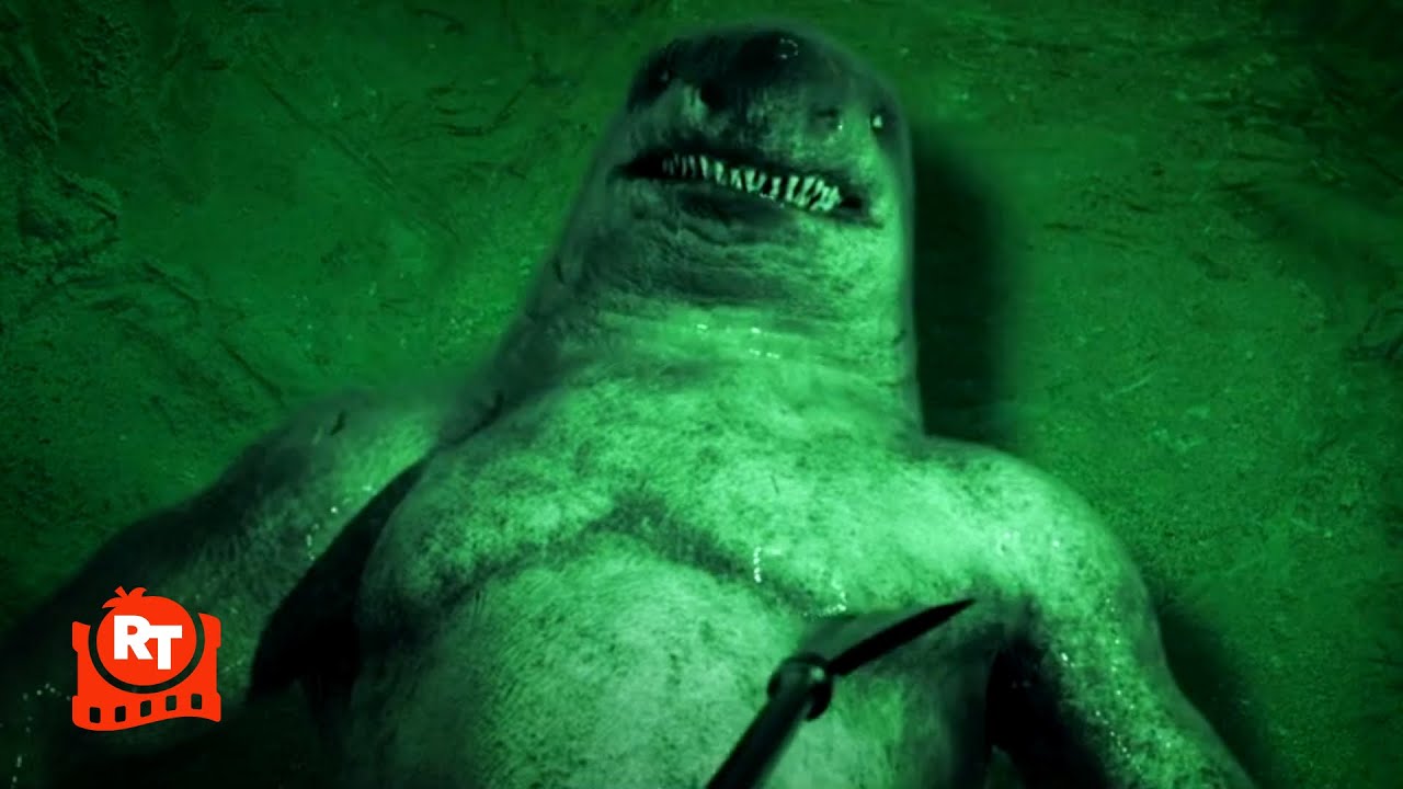 Shark Side of the Moon (2022)  – Is That a Street Shark?! | Movieclips